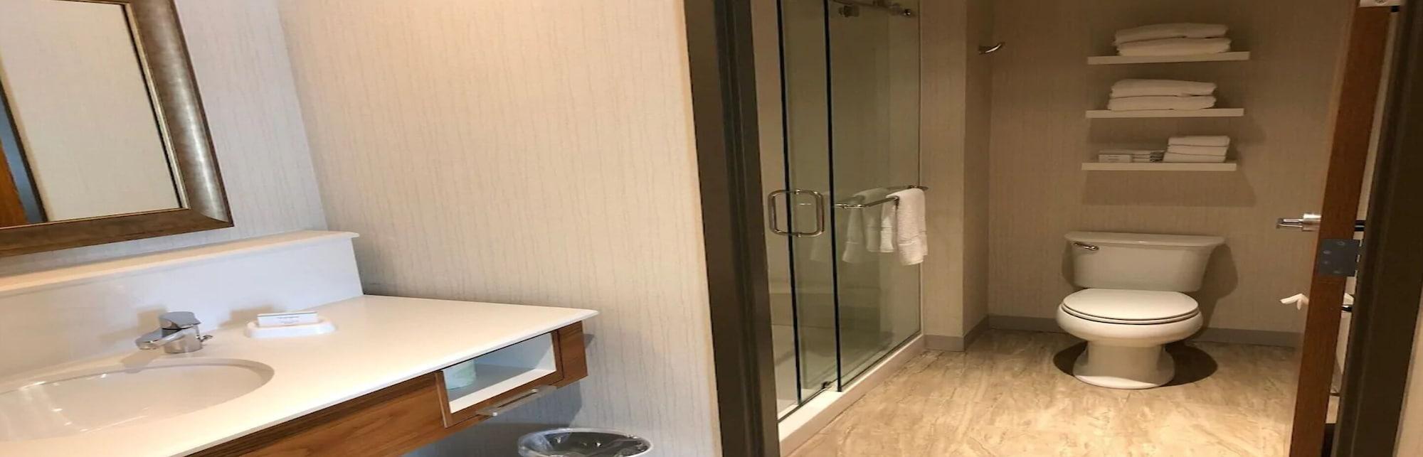 Hampton & By Hilton Busch Gardens Area 3* Tampa
